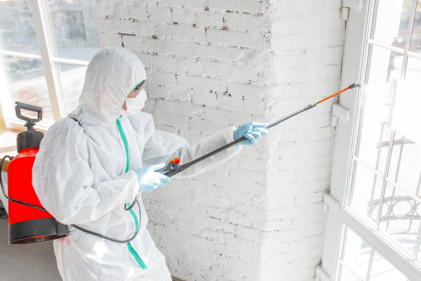 Professional Mold Inspection in Chestertown, MD