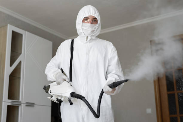 Mold Odor Removal Services in Chestertown, MD